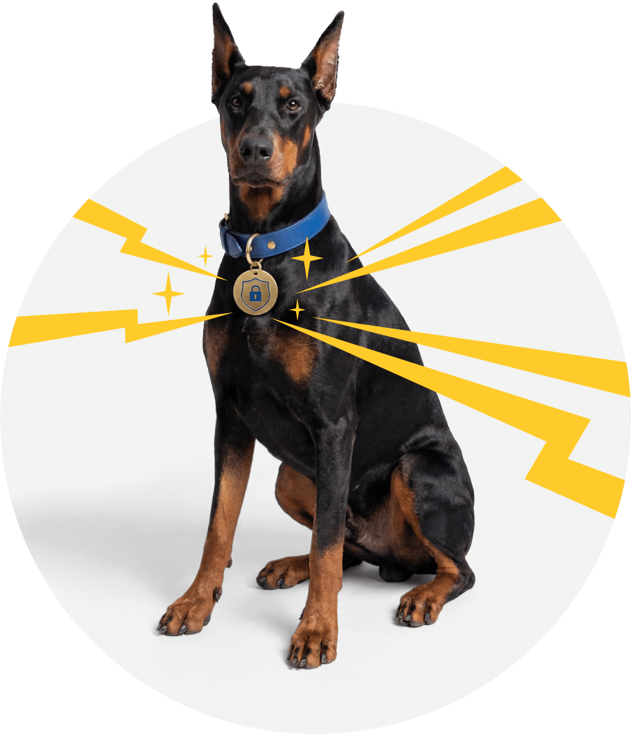 DTC_Q226_Sec_Promo_v1A